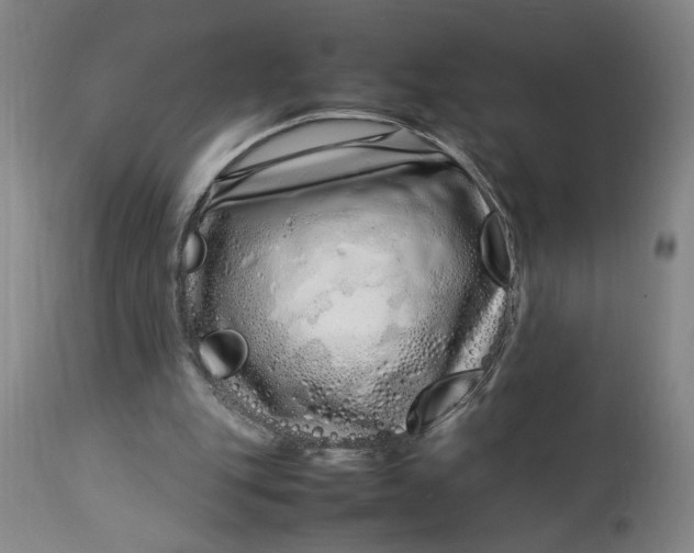 X0000112790151200909111220