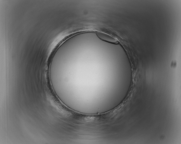 X0000112790152200909111220