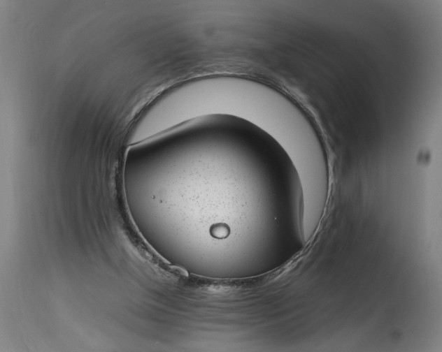 X0000112790154200909111220