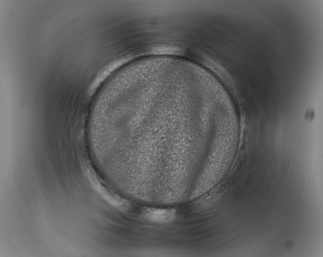 X0000112790155200909111220