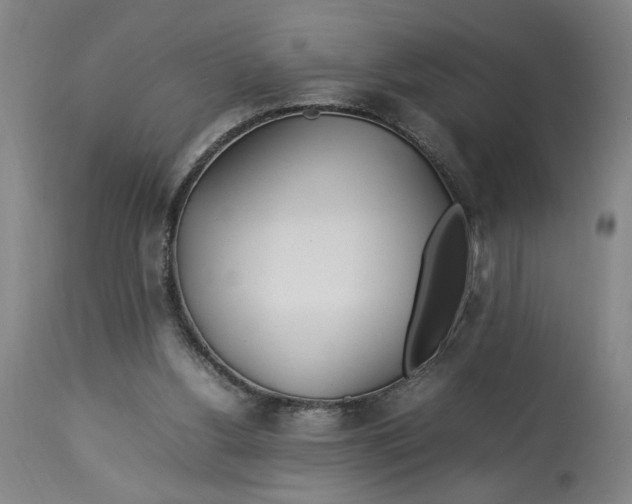 X0000112790156200909111220