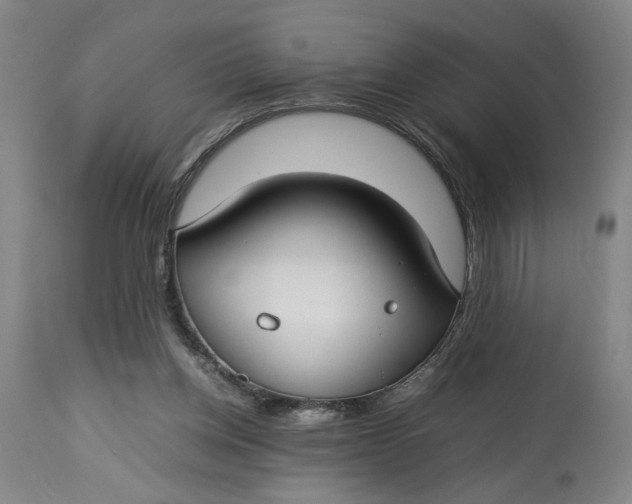 X0000112790158200909111220