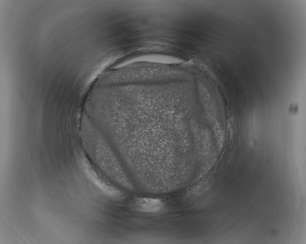 X0000112790159200909111220