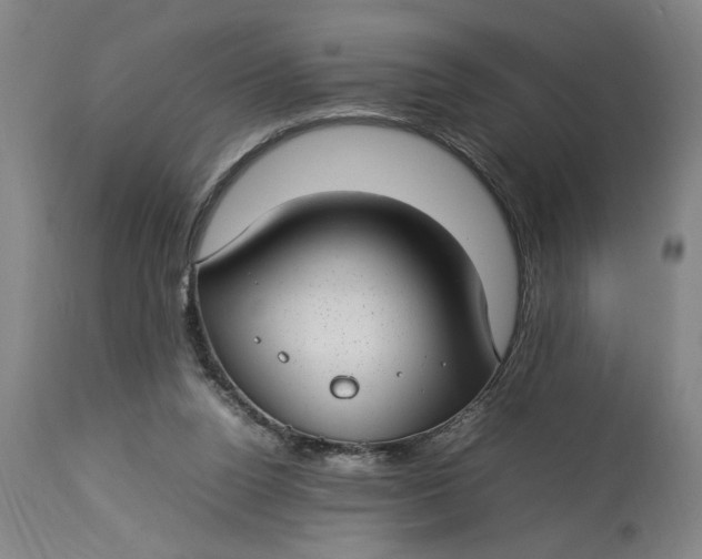 X0000112790160200909111221