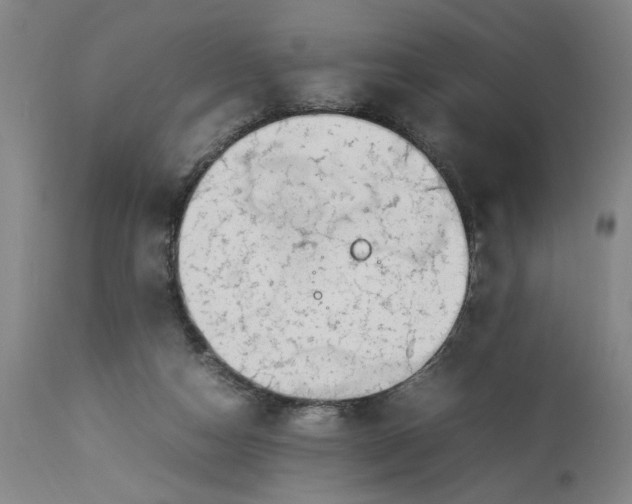 X0000112790162200909111221