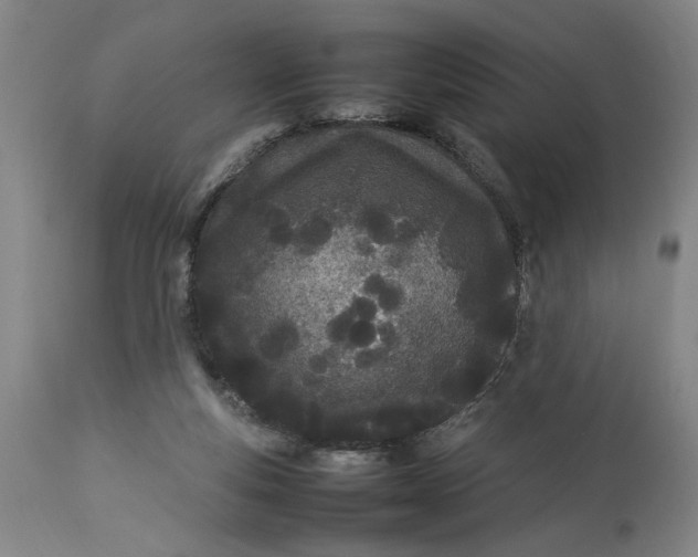 X0000112790163200909111221