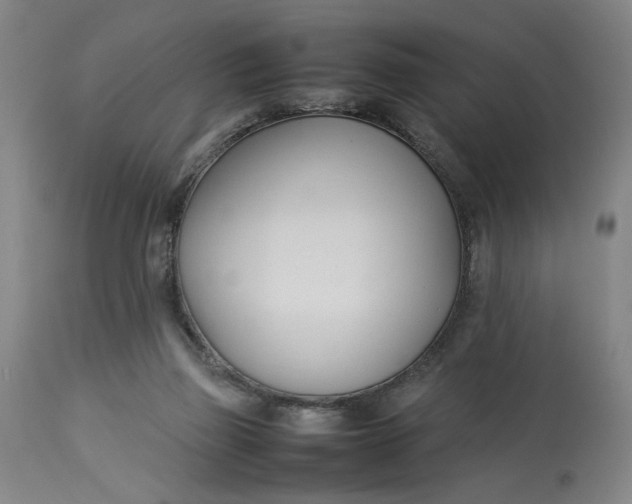 X0000112790165200909111221