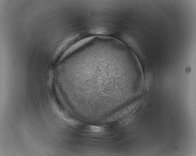 X0000112790167200909111221