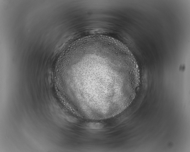 X0000112790169200909111221