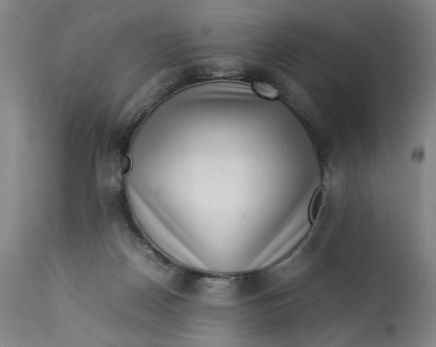 X0000112790170200909111221