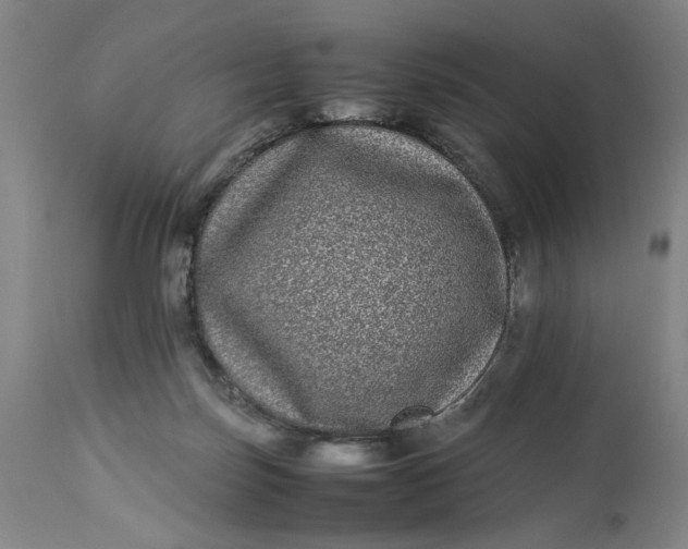 X0000112790171200909111221