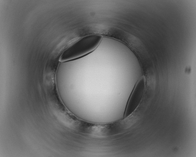 X0000112790172200909111221