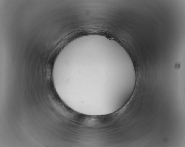 X0000112790174200909111221