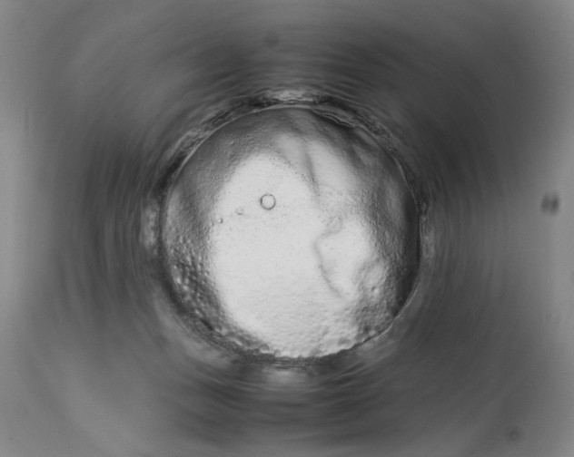 X0000112790175200909111221