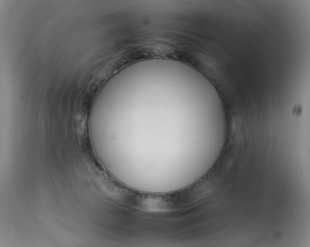 X0000112790177200909111221