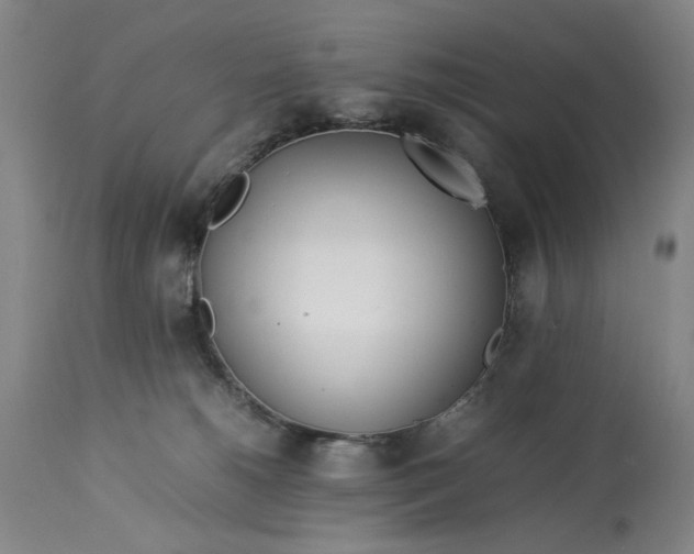 X0000112790180200909111221