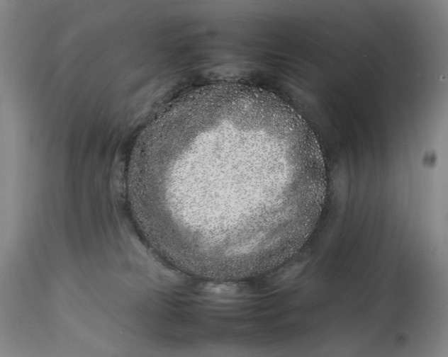 X0000112790181200909111221