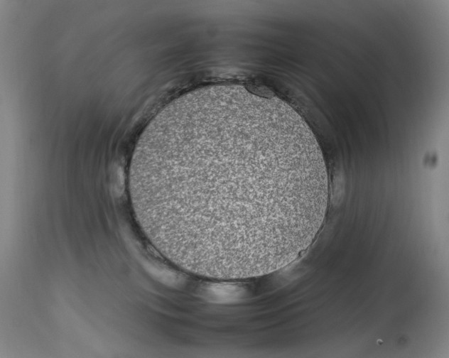 X0000112790183200909111221