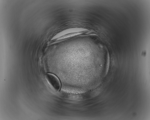 X0000112790185200909111221