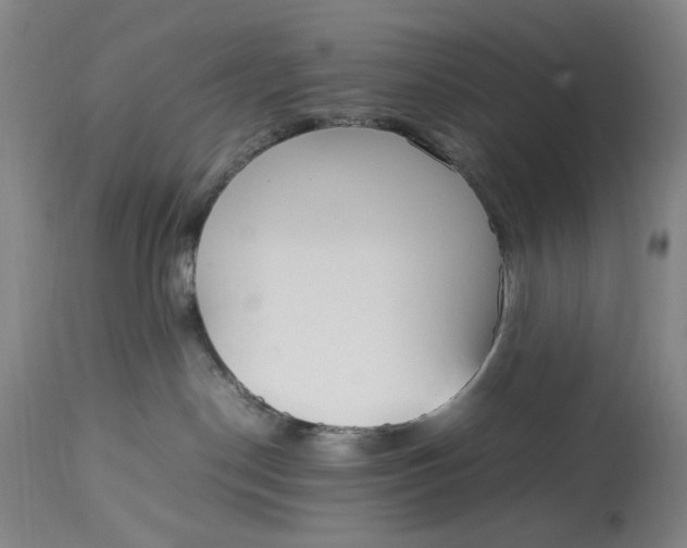 X0000112790190200909111221