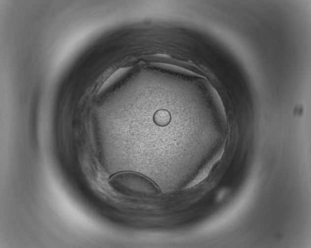 X0000112790191200909111221