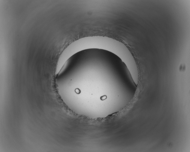 X0000112790192200909111221