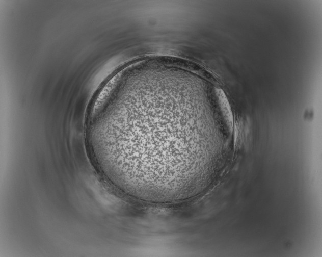 X0000112790195200909111220