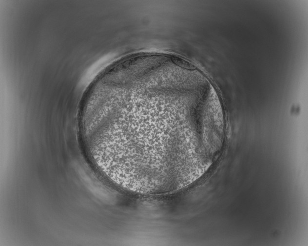 X0000112790199200909111220