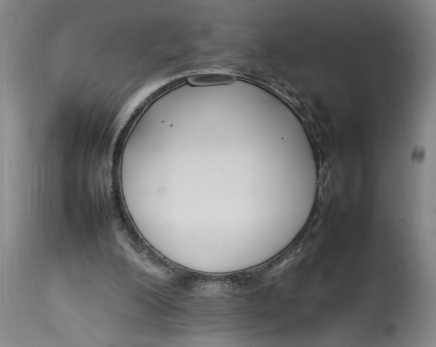 X0000112790200200909111220