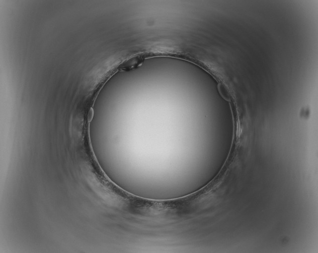 X0000112790201200909111220