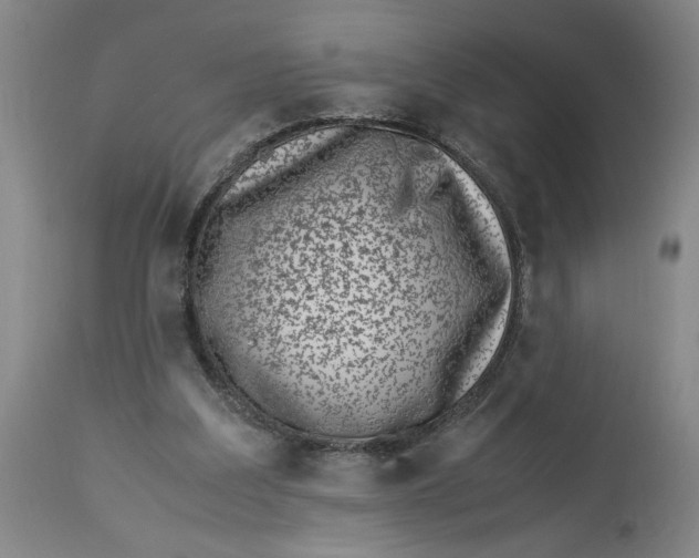 X0000112790203200909111220