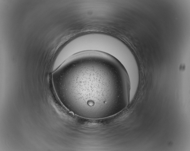 X0000112790205200909111220