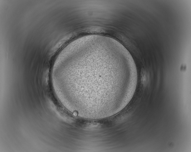 X0000112790206200909111220