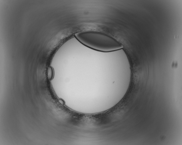 X0000112790207200909111220