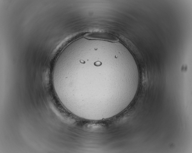 X0000112790208200909111220