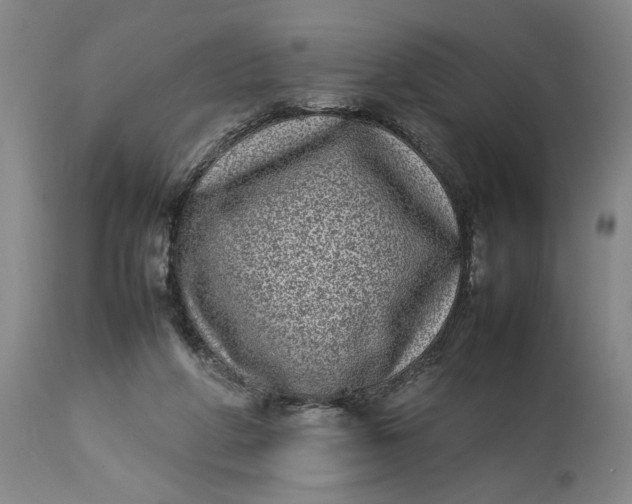 X0000112790210200909111220