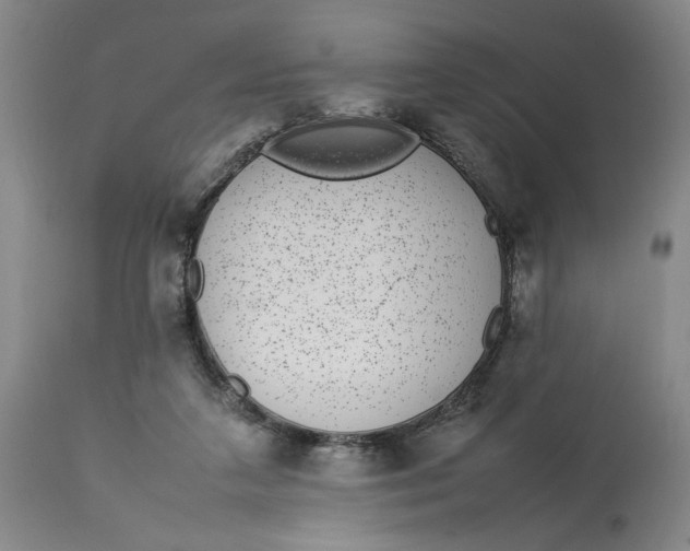 X0000112790211200909111220