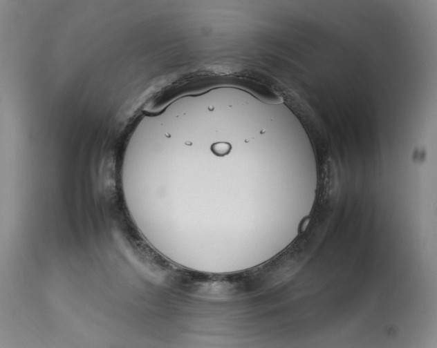 X0000112790212200909111220