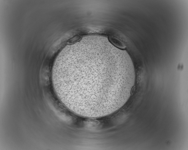 X0000112790215200909111220