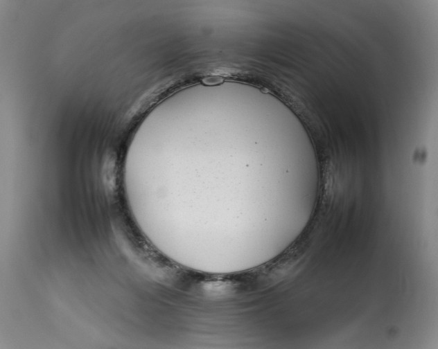 X0000112790216200909111220