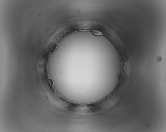 X0000112790217200909111220