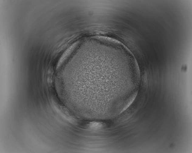 X0000112790218200909111220