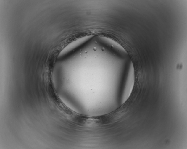 X0000112790222200909111220