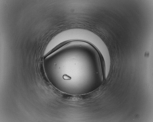 X0000112790223200909111220