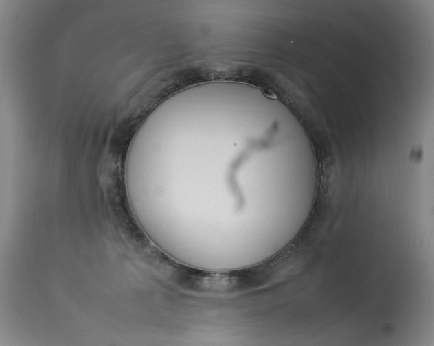 X0000112790225200909111220