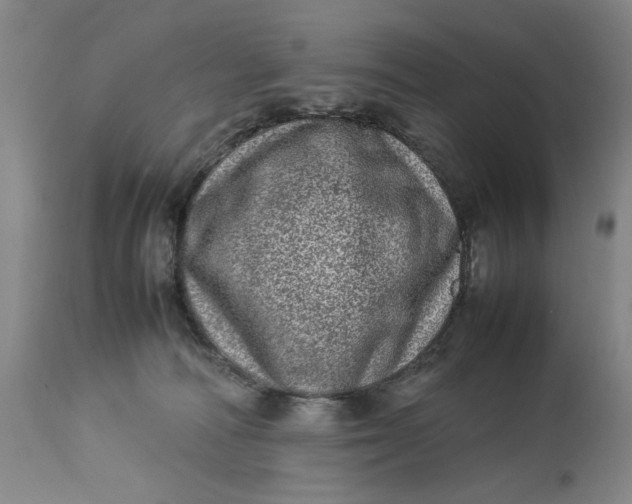 X0000112790226200909111220