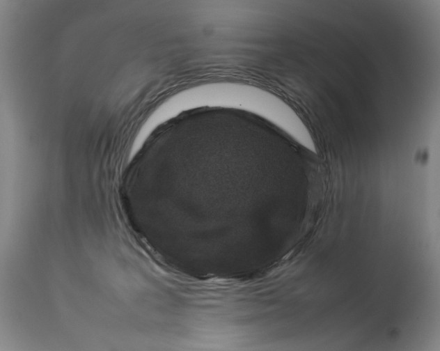 X0000112790227200909111220