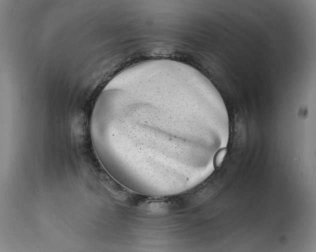 X0000112790228200909111220