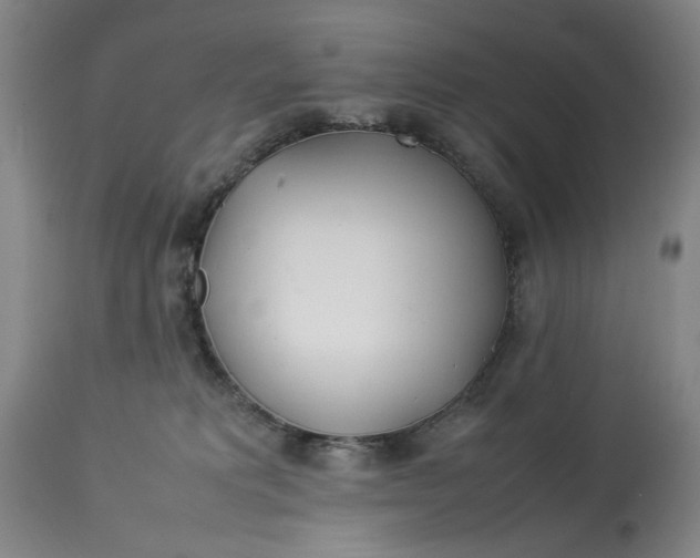 X0000112790229200909111220