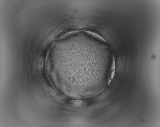 X0000112790230200909111220